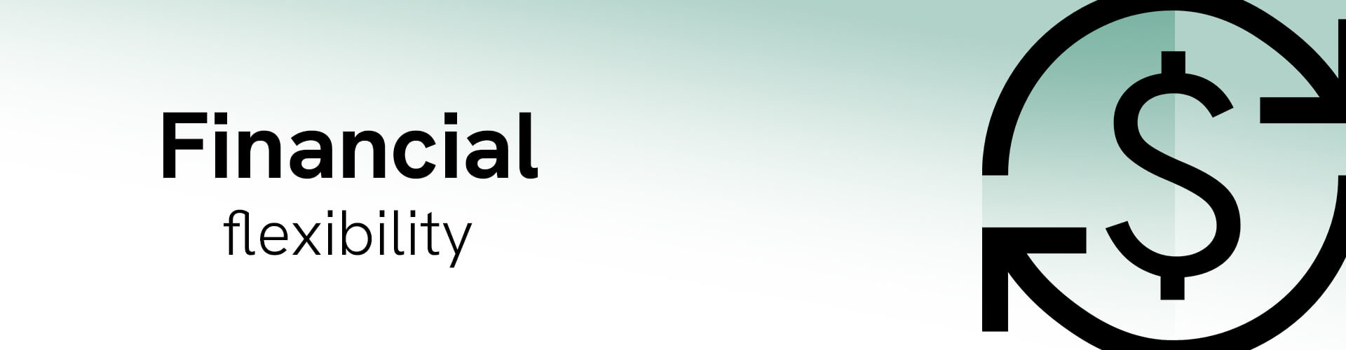 financial flexibility